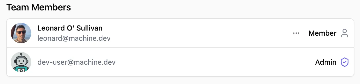 Team members table showing members with Admin and Member role badges